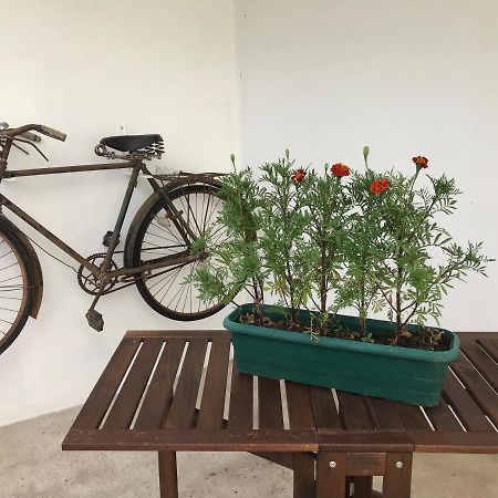 הוילה Tolosa Casa Do Ferreiro מראה חיצוני תמונה